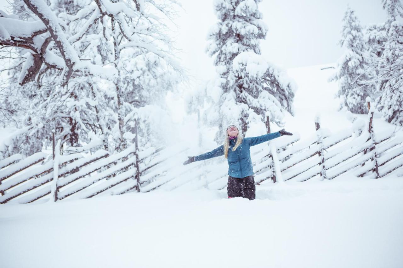 ホテル Pyhae Igloos ピュハトゥントゥリ エクステリア 写真